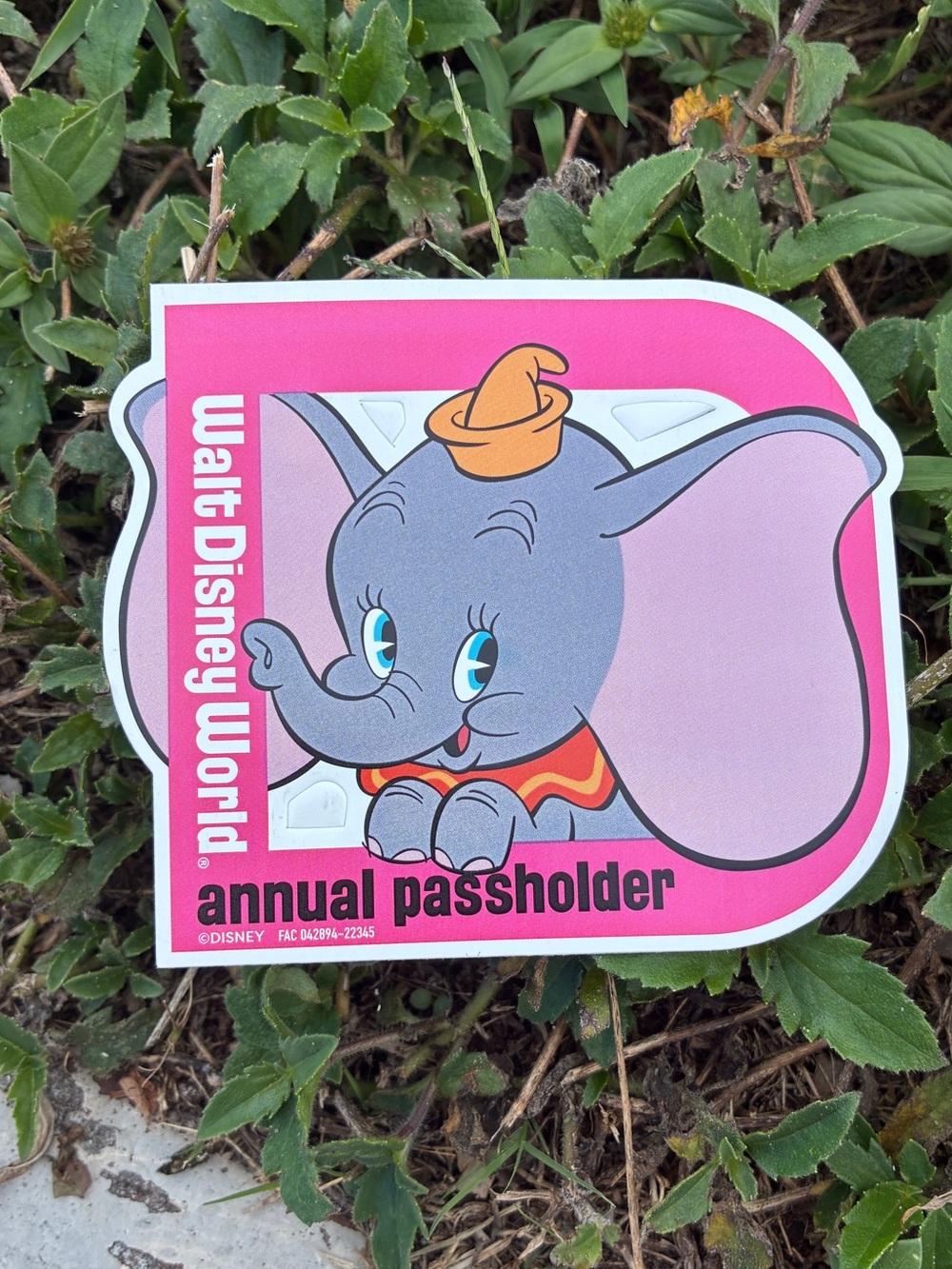 Annual Passholder Dumbo Magnet